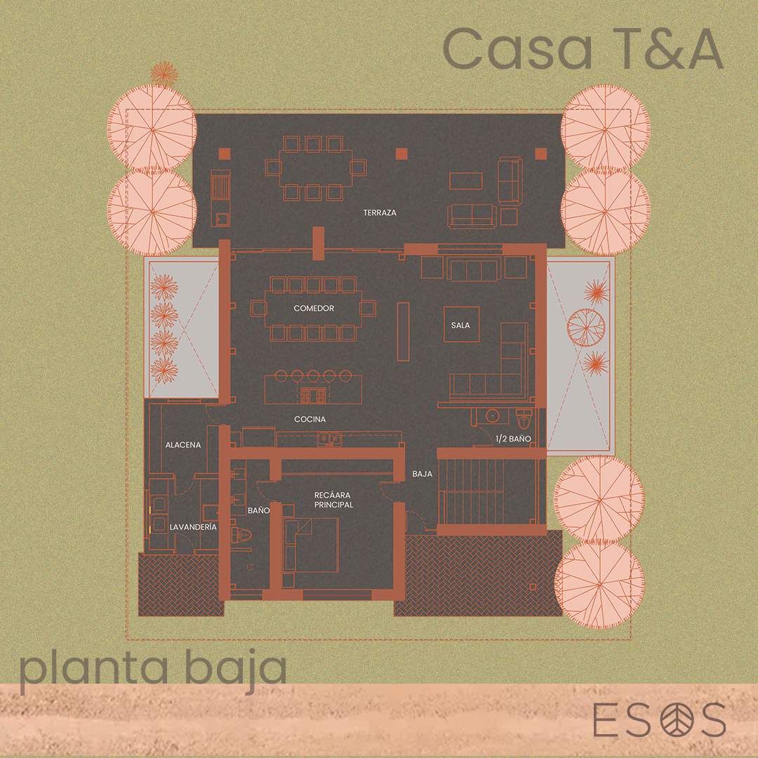 Casa T&A · planta baja